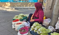Fedakar Kadınlar Bamya Satıyor! Aile Ekonomisine Destek