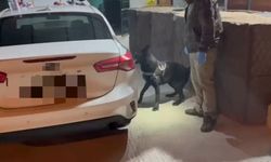 Zehiri Aracın Döşemesine Gizlediler! Tony'den Kaçmadı...