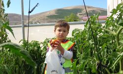 Bayburt’ta özel öğrenciler serada organik sebze hasadı yaptı