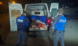 Samsun’da 5 ton kaçak midye ele geçirildi
