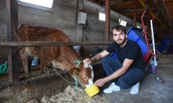 Eski hükümlü İŞKUR hibesiyle aldığı 5 inekle hayatında yeni bir sayfa açtı