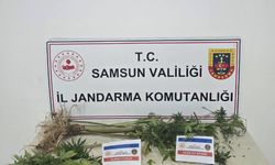 Samsun'da uyuşturucu operasyonunda 1 şüpheli yakalandı