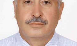 Arı sokması alerjisi olan yaşlı adam traktörünün direksiyonunda ölü bulundu