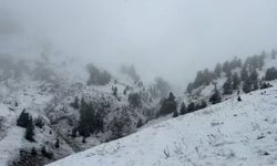 Artvin’de yaylalar kar altında