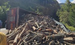 Ordu’da tomruk kamyonu devrildi: 21 ton tomruk yola saçıldı