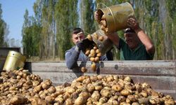 Tarım-GFE yıllık yüzde 34,22 arttı