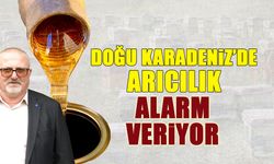 Doğu Karadeniz'de Arıcılık Alarm Veriyor! Başkan Uyardı