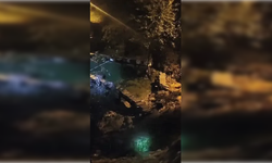 Artvin’in Borçka ilçesinde arı kovanları gece sel suları ve heyelana kapıldı