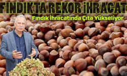 Fındık İhracatında Çıta Yükseliyor: 25 Yılda 42 Milyar Dolar Gelir