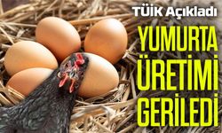 TÜİK Açıkladı: Yumurta Üretimi Yıllık Bazda Yüzde 4,9 Azaldı
