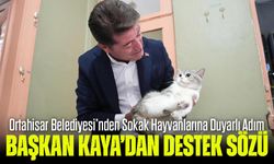 Başkan Kaya’dan Duygulandıran Adım: Sokak Hayvanlarına Sahip Çıkacak