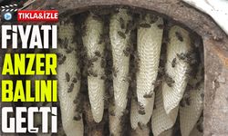 Rize’de Karakovan Balı 7 Bin TL’ye Ulaştı: Anzer Balı’nı Geride Bıraktı
