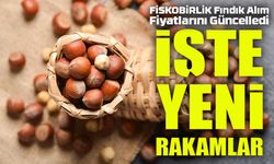FİSKOBİRLİK Fındık Alım Fiyatlarını Güncelledi: İşte Yeni Rakamlar