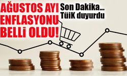Son Dakika... TÜİK duyurdu: Ağustos ayı enflasyonu belli oldu!