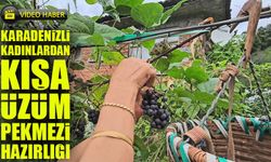 Artvin'de Kadınlar Asırlık Gelenekle Kışa Pekmez Hazırlığı Yapıyor
