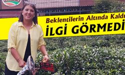 Çay Turizmi Beklentilerin Altında Kaldı Ama Umut Sürüyor