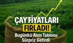 Yaş Çay Fiyatları Bugün Üreticiyi Şaşırttı: ÇAYKUR, Destekleme Ve Özel Sektör Arasında Büyük Fark