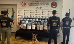 Artvin Sarp Sınır Kapısı’nda 2,5 Milyar Liralık Yabancı Madde Operasyonu