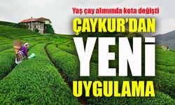 ÇAYKUR’dan yeni uygulama: Yaş çay alımında kota değişti