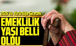 Tamamlayıcı Emeklilik Sistemi Geliyor! 2026’da Hayata Geçiyor