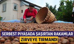 Fındık Fiyatları Bugün Zirveye Tırmandı: Serbest Piyasada Şaşırtan Rakamlar