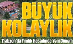 Trabzon’da Fındık Hasadında Yeni Dönem: File Örtüyle Hem Verim Hem Tasarruf