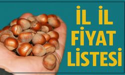 Güncel Fındık Fiyatları 10 Eylül 2025: Serbest Piyasada İl İl Fiyat Listesi
