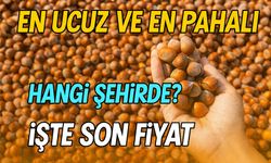 Bugün Güncel Fındık Fiyatları Açıklandı! En Ucuz ve En Pahalı Hangi Şehirde?