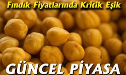 Fındık Fiyatlarında Kritik Eşik: Bugün Piyasanın Nabzı 300 TL’ye Dayandı