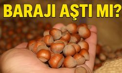 Fındık Fiyatları Güncellendi! İl İl Fındık Kaç Lira Oldu, 400 TL Barajını Aştı mı?