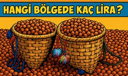 Fındıkta Kritik Gün: Bugün Hangi Bölgede Kaç Lira?
