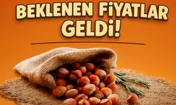 Güncel Fındık Fiyatları Açıklandı: Beklenen Fiyatlar Geldi!