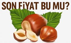 Fındık Fiyatları Bugünde Yükseldi mi? Fındığı En Pahalı Hangi Şehir Hangisi?