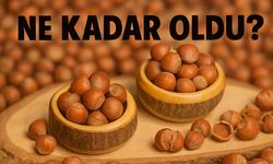Fındık Fiyatları Bugün Ne Kadar Oldu? 11 Eylül 2025 Güncel İl İl Fındık Fiyatları
