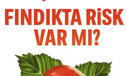 Serbest Piyasada Fındık Fiyatları – Mevcut Veriler & Eğilim