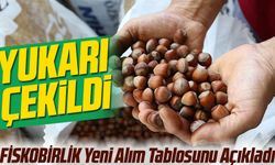 Fındık Fiyatları Güncellendi! FİSKOBİRLİK Yeni Alım Tablosunu Açıkladı
