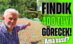 Uzman İsim Uyardı: Üretici Bunu Yaparsa Fındık Fiyatları 400 TL'yi Görecek!