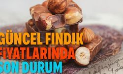 Fındığın Serbest Piyasada İl İl Güncel Fiyat Listesi Açıklandı