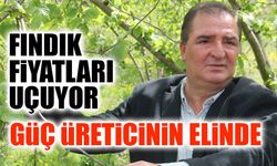 Fındık Fiyatları Uçuyor! Güç Üreticinin Elinde...