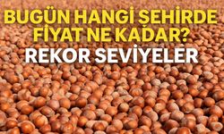 Fındık Fiyatlarında Rekor Seviyeler! Bugün Hangi Şehirde Fiyat Ne Kadar?