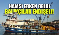 Hamsi Erken Geldi! Trabzon'da Balıkçılar Endişeli...