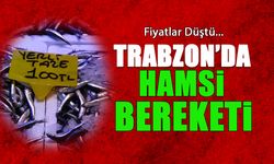 Fiyatlar Düştü! Trabzon'da Hamsi Bereketi