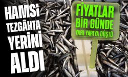 Hamsi Tezgâhta Yerini Aldı: Fiyatlar Bir Günde Yarı Yarıya Düştü