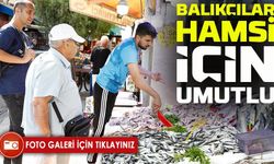 Samsun’da Hamsi 300 Liraya Kadar Yükseldi: Soğuklar Bekleniyor