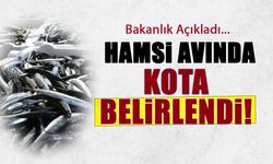 Hamsi Avında Kota Belli Oldu! Bakanlık Açıkladı...