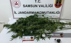 Samsun'da uyuşturucu operasyonunda 1 şüpheli yakalandı