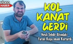 Nadir kuş türü cami imamı tarafından yaralı bulundu: Kara karınlı kum kuşu koruma altına alındı