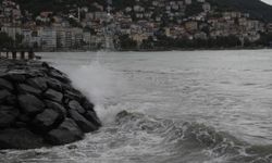 Karadeniz'in biyoçeşitliliğinin kıyıdaş halklara tanıtılıp korunması sağlanacak