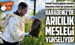 Ordulu Arıcı TKDK Desteğiyle Kovan Sayısını 150’ye Çıkardı
