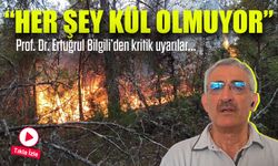 Orman Yangınlarıyla İlgili Büyük Yanılgı: Her Şey Kül Olmuyor!